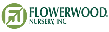 Flowerwood